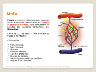 Linfa
  Fluído levemente esbranquiçado (algumas
  vezes amarelado), constituído por plasma
  e glóbulos brancos, que atravessam as
  paredes dos capilares sanguíneos, por
  Diapedese.

  Cerca de 2/3 de toda a Linfa derivam do
  fígado e do intestino;

  Composição:

     90% de agua.
     Sais minerais
     Glucose
     Glóbulos brancos
     Algumas proteínas
     Dióxido de carbono
     Baixas concentrações de oxigénio
     Desperdícios celulares


Maria Teresa Castilho Sousa - 10ª Acção de Técnicas de Esteticismo e Cosmetologia 2010/2011   13
 