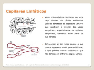 Capilares Linfáticos
                                                       Vasos microscópicos, formados por uma
                                                        capa     simples      de     células   endoteliais
                                                        (células achatadas de espessura variável
                                                        que     recobrem       o    interior   dos   vasos
                                                        sanguíneos, especialmente os capilares
                                                        sanguíneos, formando assim parte da
                                                        sua parede)



                                                       Diferenciam-se das veias porque a sua
                                                        parede apresenta maior permeabilidade,
                                                        o que permite drenar substâncias que
                                                        não conseguem entrar no capilar venoso




Maria Teresa Castilho Sousa - 10ª Acção de Técnicas de Esteticismo e Cosmetologia 2010/2011                  16
 