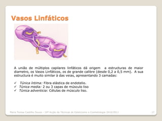 Vasos Linfáticos




   A união de múltiplos capilares linfáticos dá origem a estructuras de maior
   diametro, os Vasos Linfáticos, os de grande calibre (desde 0,2 a 0,5 mm). A sua
   estructura é muito similar à das veias, apresentando 3 camadas:

    Túnica íntima: Fibra elástica de endotelio.
    Túnica media: 2 ou 3 capas de músculo liso
    Túnica adventicia: Células de músculo liso.




Maria Teresa Castilho Sousa - 10ª Acção de Técnicas de Esteticismo e Cosmetologia 2010/2011   17
 