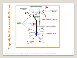 Disposição dos vasos linfáticos




Maria Teresa Castilho Sousa - 10ª Acção de Técnicas de Esteticismo e Cosmetologia 2010/2011   21
 