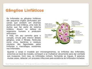 Gânglios Linfáticos

 Os linfonodos ou gânglios linfáticos
 são pequenos órgãos perfurados por
 canais que existem em diversos
 pontos da rede linfática, uma rede de
 ductos que faz parte do sistema
 linfático. Atuam na defesa do
 organismo humano e produzem
 anticorpos.
 A linfa, em seu caminho para o
 coração, circula pelo interior desses
 gânglios, onde é filtrada. Partículas
 como vírus, bactérias e resíduos
 celulares   são   fagocitadas   pelos
 linfócitos e macrófagos existentes
 nos linfonodos.
  Quando o corpo é invadido por microorganismos, os linfócitos dos linfonodos,
  próximos ao local da invasão, começam a se multiplicar ativamente para dar combate
  aos invasores. Com isso, os linfonodos incham, formando as ínguas. É possível,
  muitas vezes, detectar um processo infeccioso pela existência de linfonodos inchados.


Maria Teresa Castilho Sousa - 10ª Acção de Técnicas de Esteticismo e Cosmetologia 2010/2011   24
 