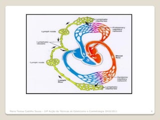 Maria Teresa Castilho Sousa - 10ª Acção de Técnicas de Esteticismo e Cosmetologia 2010/2011   4
 