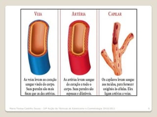 Maria Teresa Castilho Sousa - 10ª Acção de Técnicas de Esteticismo e Cosmetologia 2010/2011   6
 