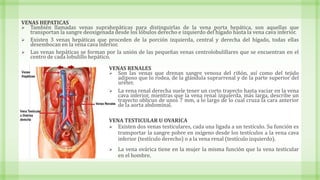 VENAS HEPATICAS
 También llamadas venas suprahepáticas para distinguirlas de la vena porta hepática, son aquellas que
transportan la sangre deoxigenada desde los lóbulos derecho e izquierdo del hígado hasta la vena cava inferior.
 Existen 3 venas hepáticas que proceden de la porción izquierda, central y derecha del hígado, todas ellas
desembocan en la vena cava inferior.
 Las venas hepáticas se forman por la unión de las pequeñas venas centrolobulillares que se encuentran en el
centro de cada lobulillo hepático.
VENAS RENALES
 Son las venas que drenan sangre venosa del riñón, así como del tejido
adiposo que lo rodea, de la glándula suprarrenal y de la parte superior del
uréter.
 La vena renal derecha suele tener un corto trayecto hasta vaciar en la vena
cava inferior, mientras que la vena renal izquierda, más larga, describe un
trayecto oblicuo de unos 7 mm, a lo largo de lo cual cruza la cara anterior
de la aorta abdominal.
VENA TESTICULAR U OVARICA
 Existen dos venas testiculares, cada una ligada a un testículo. Su función es
transportar la sangre pobre en oxígeno desde los testículos a la vena cava
inferior (testículo derecho) o a la vena renal (testículo izquierdo).
 La vena ovárica tiene en la mujer la misma función que la vena testicular
en el hombre.
 