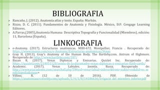 BIBLIOGRAFIA
 Rancaño, J. (2012). Anatomía atlas y texto. España: Marbán.
 Rizzo, D. C. (2011). Fundamentos de Anatomía y Fisiología. México, D.F: Cengage Learning
Editores.
 A.Parras,(2005),Anatomía Humana Descriptiva Topografía y Funcionalidad (Miembros), edición:
11, Barcelona (España).
 e-Anatomy. (2017). Estructuras anatómicas. MIBI-672. Montpellier, Francia . Recuperado de:
https://www.imaios.com/es/e-Anatomy/Estructuras-anatomicas/Venas
 Gray H. (2013). Gray’s Anatomy of the Human Body. The Bartleby.com. Antrum of Highmore.
Recuperado de: http://www.bartleby.com/107/
 Bazan R. (2017). Venas Diploicas y Emisarias. Quizlet Inc. Recuperado de:
https://quizlet.com/214051120/senos-de-la-duramadre-venas-diploicas-y-emisarias-flash-cards/
 Academic. (2017). Venas Labiales. Joomla. Rusia. Recuperado de:
http://www.esacademic.com/searchall.php?SWord=vena+labial+inferor&from=xx&to=es&did=es_m
ediclopedia&stype=
 Villino, R. (12 de 10 de 2016). PDF. Obtenido de
https://anatomiaucv.weebly.com/uploads/1/4/1/8/14186636/irrigacin_del_miembro_inferior.pdf
LINKOGRAFIA
 