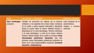 Vena Descripción y tributarias Regiones drenadas
Vena hemiácigos
accesoria
También se encuentra por delante de la columna
vertebral y a la izquierda de la línea media. Comienza
en el cuarto o quinto espacio intercostal y desciende
desde la quinta hasta la octava vértebra torácica o
desemboca en la vena hemiácigos. Termina uniéndose
a la vena hemiácigos, a nivel de la octava vértebra
torácica. Recibe sangre de la cuarta a la octava venas
intercostales posteriores izquierdas (las tres
primeras venas intercostales posteriores izquierdas se
abren en la vena braquiocefálica izquierda), bronquial
izquierda y mediastínicas.
Lado izquierdo de la
pared torácica
superior y vísceras
torácicas.
 