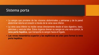 Sistema porta
• La sangre que proviene de las vísceras abdominales y pelvianas y de la pared
abdominal retorna al corazón a través de la vena cava inferior.
• La vena cava inferior no recibe venas directamente desde el tubo digestivo, bazo,
páncreas y vesícula biliar. Estos órganos drenan su sangre en una vena común, la
vena porta hepática, que transporta la sangre hacia el hígado.
• Las venas mesentérica superior y las esplénicas se unen para formar la vena
porta hepática.
 