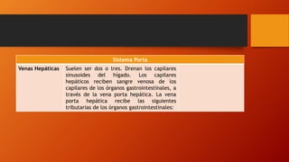 Sistema Porta
Venas Hepáticas Suelen ser dos o tres. Drenan los capilares
sinusoides del hígado. Los capilares
hepáticos reciben sangre venosa de los
capilares de los órganos gastrointestinales, a
través de la vena porta hepática. La vena
porta hepática recibe las siguientes
tributarias de los órganos gastrointestinales:
 