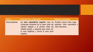 Venas Descripción y tributarias Regiones drenadas
Venas hepáticas La vena mesentérica superior nace de
numerosas tributarias de la mayor parte del
intestino delgado y la primera mitad del
intestino grueso, y asciende para unirse con
la vena esplénica y formar la vena porta
hepática.
Duodeno, yeyuno, íleon, ciego,
apéndice, colon ascendente y
colon transverso.
 