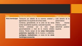 Vena Descripción y tributarias Regiones drenadas
Vena hemiácigos Transcurre por delante de la columna vertebral y
ligeramente a la izquierda de la línea media.
Comienza, generalmente, en la unión de las venas
lumbar ascendente izquierda y subcostal izquierda.
Termina uniéndose con la vena ácigos
aproximadamente a nivel de la novena vértebra
torácica. Recibe sangre de las venas intercostales
posteriores izquierdas (de la novena a undécima),
esofágicas, mediastínicas y a veces de las venas
hemiácigos accesorias.
Lado derecho de la
pared torácica
inferior, vísceras
torácicas y pared
abdominal posterior
izquierda.
 