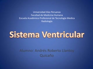 Universidad Alas PeruanasFacultad de Medicina HumanaEscuela Académico Profesional de Tecnología MedicaRadiologíaSistema Ventricular Alumno: Andrés Roberto Llantoy Quicaño 