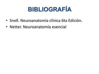 BIBLIOGRAFÍA
• Snell. Neuroanatomía clínica 6ta Edición.
• Netter. Neuroanatomía esencial