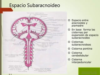 Espacio Subaracnoideo
 Espacio entre
aracnoides y
piamadre
 En base forma las
cisternas por
expansión de espacio
subaracnoideo
 Cisternas
subaracnoideas
 Cisterna pontina
 Cisterna
cerebelobular
 Cisterna
interpeduncular
Sistema Ventricular Liquido
Cefalorraquídeo Hidrocefalia
 