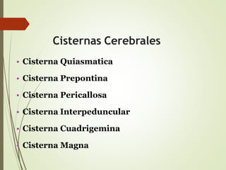Cisternas Cerebrales
• Cisterna Quiasmatica
• Cisterna Prepontina
• Cisterna Pericallosa
• Cisterna Interpeduncular
• Cisterna Cuadrigemina
• Cisterna Magna
 