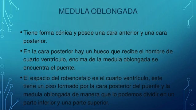 cuarto ventriculo sistema ventricular cuarto ventr 237 culo cuarto ventriculo sistema ventricular cuarto ventr 237 culo