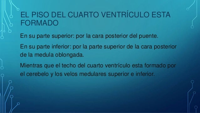 cuarto ventriculo sistema ventricular cuarto ventr 237 culo cuarto ventriculo sistema ventricular cuarto ventr 237 culo