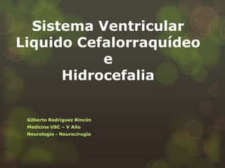 Sistema Ventricular
Liquido Cefalorraquídeo
e
Hidrocefalia
Gilberto Rodríguez Rincón
Medicina USC – V Año
Neurología - Neurocirugía

 