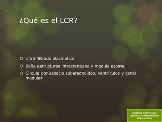 Sistema Ventricular, Liquido Cefalorraquideo LCR, Hidrocefalia | PPTX