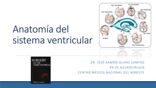 Anatomía del
sistema ventricular
DR. JOSÉ RAMÓN OLIVAS CAMPOS
R4 DE NEUROCIRUGÍA
CENTRO MEDICO NACIONAL DEL NORESTE
 
