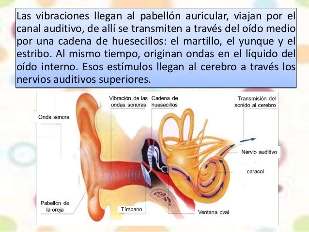 Flukonazol la instrucción de la aplicación al hongo de los pie