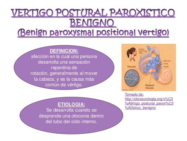 Resultado de imagen de otoconia funcion