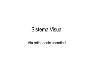 Sistema Visual Vía retinogeniculocortical 