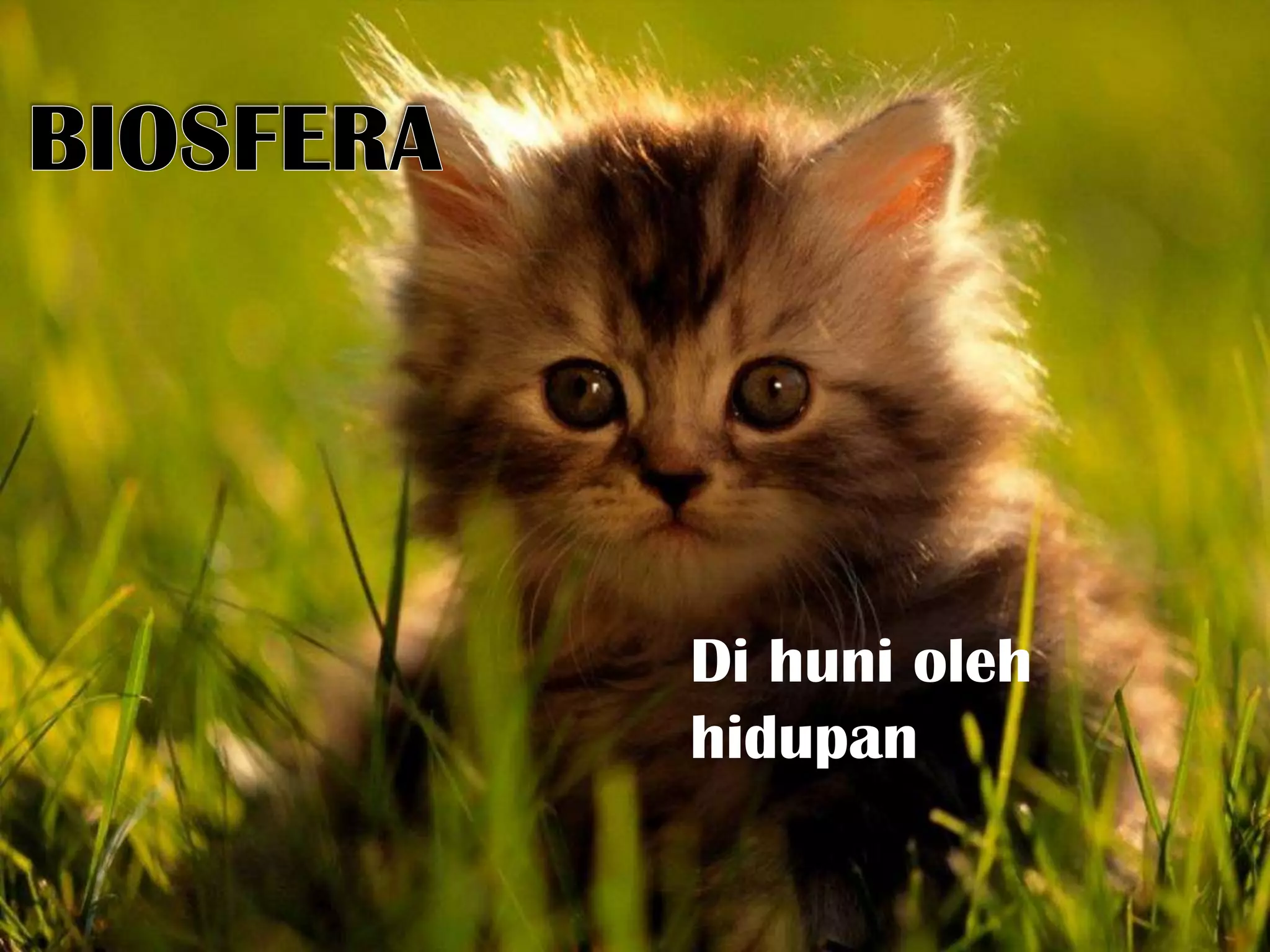 KEJADIAN PASANG & SURUT AIR LAUT