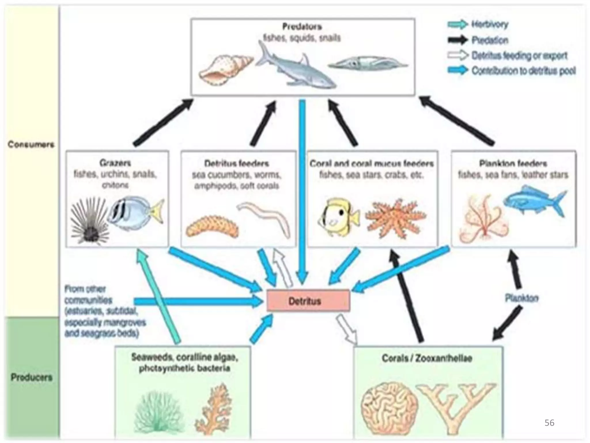 Kecondonganpancaranmatahari