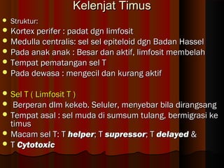 Kelenjat TimusKelenjat Timus
 Struktur:Struktur:
 Kortex perifer : padat dgn limfositKortex perifer : padat dgn limfosit
 Medulla centralis: sel sel epiteloid dgn Badan HasselMedulla centralis: sel sel epiteloid dgn Badan Hassel
 Pada anak anak : Besar dan aktif, limfosit membelahPada anak anak : Besar dan aktif, limfosit membelah
 Tempat pematangan sel TTempat pematangan sel T
 Pada dewasa : mengecil dan kurang aktifPada dewasa : mengecil dan kurang aktif
 Sel T ( Limfosit T )Sel T ( Limfosit T )
 Berperan dlm kekeb. Seluler, menyebar bila dirangsangBerperan dlm kekeb. Seluler, menyebar bila dirangsang
 Tempat asal : sel muda di sumsum tulang, bermigrasi keTempat asal : sel muda di sumsum tulang, bermigrasi ke
timustimus
 Macam sel T: TMacam sel T: T helperhelper; T; T supressorsupressor; T; T delayeddelayed &&
 TT CytotoxicCytotoxic
 
