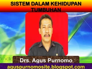 SISTEM DALAM KEHIDUPAN
        TUMBUHAN




    Drs. Agus Purnomo
aguspurnomosite.blogspot.com
 
