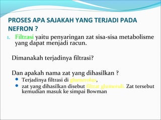 PROSES APA SAJAKAH YANG TERJADI PADA
NEFRON ?
1. Filtrasi yaitu penyaringan zat sisa-sisa metabolisme
yang dapat menjadi racun.
Dimanakah terjadinya filtrasi?
Dan apakah nama zat yang dihasilkan ?
 Terjadinya filtrasi di glumerolus,
 zat yang dihasilkan disebut filtrat glumeruli. Zat tersebut
kemudian masuk ke simpai Bowman
 