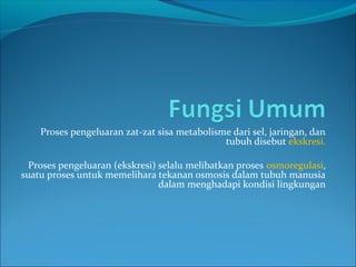 Proses pengeluaran zat-zat sisa metabolisme dari sel, jaringan, dan
tubuh disebut ekskresi.
Proses pengeluaran (ekskresi) selalu melibatkan proses osmoregulasi,
suatu proses untuk memelihara tekanan osmosis dalam tubuh manusia
dalam menghadapi kondisi lingkungan
 