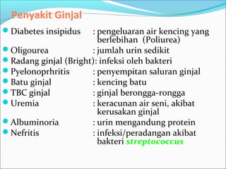 Penyakit Ginjal
Diabetes insipidus : pengeluaran air kencing yang
berlebihan (Poliurea)
Oligourea : jumlah urin sedikit
Radang ginjal (Bright): infeksi oleh bakteri
Pyelonoprhritis : penyempitan saluran ginjal
Batu ginjal : kencing batu
TBC ginjal : ginjal berongga-rongga
Uremia : keracunan air seni, akibat
kerusakan ginjal
Albuminoria : urin mengandung protein
Nefritis : infeksi/peradangan akibat
bakteri streptococcus
 