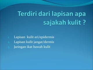 1. Lapisan kulit ari/epidermis
2. Lapisan kulit jangat/dermis
3. Jaringan ikat bawah kulit
 
