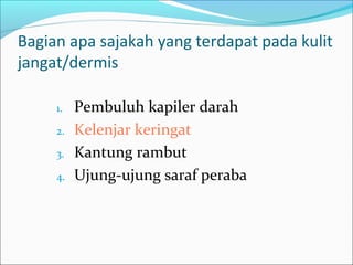 Bagian apa sajakah yang terdapat pada kulit
jangat/dermis
1. Pembuluh kapiler darah
2. Kelenjar keringat
3. Kantung rambut
4. Ujung-ujung saraf peraba
 