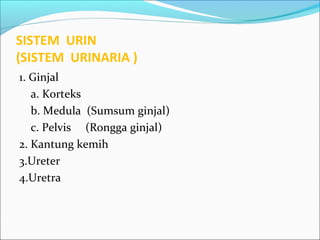 SISTEM URIN
(SISTEM URINARIA )
1. Ginjal
a. Korteks
b. Medula (Sumsum ginjal)
c. Pelvis (Rongga ginjal)
2. Kantung kemih
3.Ureter
4.Uretra
 