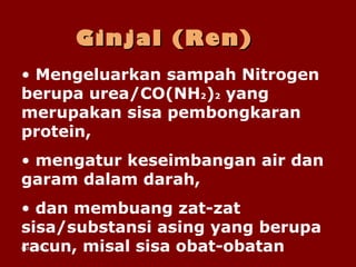 Oct 5, 2013Oct 5, 2013
Ginjal (Ren)Ginjal (Ren)
• Mengeluarkan sampah Nitrogen
berupa urea/CO(NH2)2 yang
merupakan sisa pembongkaran
protein,
• mengatur keseimbangan air dan
garam dalam darah,
• dan membuang zat-zat
sisa/substansi asing yang berupa
racun, misal sisa obat-obatan
 