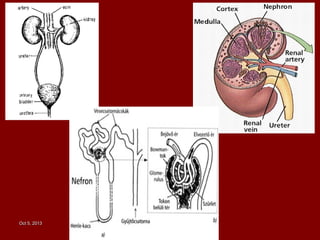 Oct 5, 2013Oct 5, 2013
 
