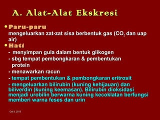 Oct 5, 2013Oct 5, 2013
A. Alat-Alat EkskresiA. Alat-Alat Ekskresi
Paru-paruParu-paru
mengeluarkan zat-zat sisa berbentuk gas (COmengeluarkan zat-zat sisa berbentuk gas (CO22 dan uapdan uap
air)air)
HatiHati
-- menyimpan gula dalam bentuk glikogenmenyimpan gula dalam bentuk glikogen
- sbg tempat pembongkaran & pembentukan- sbg tempat pembongkaran & pembentukan
proteinprotein
- menawarkan racun- menawarkan racun
-- tempat pembentukan & pembongkaran eritrosittempat pembentukan & pembongkaran eritrosit
- mengeluarkan bilirubin- mengeluarkan bilirubin (kuning kehijauan)(kuning kehijauan) dandan
biliverdinbiliverdin (kuning keemasan). Bilirubin dioksidasi(kuning keemasan). Bilirubin dioksidasi
menjadi urobilin berwarna kuning kecoklatan berfungsimenjadi urobilin berwarna kuning kecoklatan berfungsi
memberi warna feses dan urinmemberi warna feses dan urin
 