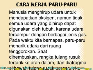 CARA KERJA PARU-PARU
Manusia menghirup udara untuk
mendapatkan oksigen, namun tidak
semua udara yang dihirup dapat
digunakan oleh tubuh, karena udara
tercampur dengan berbagai jenis gas.
Pada waktu kita bernapas, paru-paru
menarik udara dari ruang
tenggorokan. Saat
dihembuskan, rangka tulang rusuk
tertarik ke arah dalam, dan diafragma
di bawah tulang rusuk bergerak ke

 