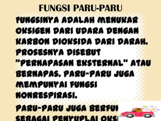 FUNGSI PARU-PARU
Fungsinya adalah menukar
oksigen dari udara dengan
karbon dioksida dari darah.
Prosesnya disebut
"pernapasan eksternal" atau
bernapas. Paru-paru juga
mempunyai fungsi
nonrespirasi.
Paru-paru juga berfungsi

 