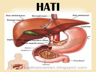 HATI

 