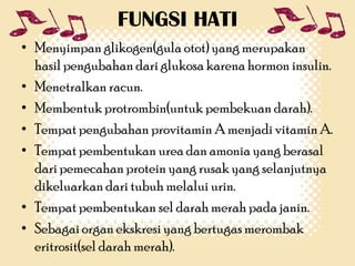 FUNGSI HATI
• Menyimpan glikogen(gula otot) yang merupakan
hasil pengubahan dari glukosa karena hormon insulin.
• Menetralkan racun.
• Membentuk protrombin(untuk pembekuan darah).
• Tempat pengubahan provitamin A menjadi vitamin A.
• Tempat pembentukan urea dan amonia yang berasal
dari pemecahan protein yang rusak yang selanjutnya
dikeluarkan dari tubuh melalui urin.
• Tempat pembentukan sel darah merah pada janin.
• Sebagai organ ekskresi yang bertugas merombak
eritrosit(sel darah merah).

 