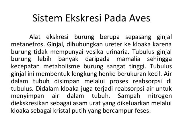 Perbedaan Ruang Jantung Pada Pisces Amphibia Reptilia Aves Perbedaan Ruang Jantung Pada Pisces Amphibia Reptilia Aves