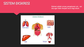 SISTEM EKSKRESI
Ekskresi adalah proses pengeluaran zat – zat
sisa agar tidak menjadi racun bagi tubuh.
 