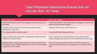 IKAN AIR LAUT IKAN AIR TAWAR
Tubuh lebih hipotonis dari air laut sehingga air banyak yang keluar
dari tubuh.
Tubuh lebih hipertonis dari lingkungannya sehingga air banyak yang
masuk lewat permukaan tubuhnya.
Akibatnya ikan laut banyak minum air laut untuk menutupi
kehilangan air yang besar
Akibatnya ikan air tawar sedikit minum air.
Urin yang dihasilkan sedikit dan pekat Urin yang dihasilkan banyak dan encer
Ginjal memiliki sedikit glomelurus sehingga penyaringan sisa hasil
metabolisme berjalan lambat.
Ginjal dilengkapi sejumlah glomelurus yang jumlahnya lebih
banyak sehingga penyaringan sisa hasil metabolisme berjalan cepat
Sebalknya pada air laut mengeksresksikan sampah nitrogen berupa
trimetilamin oksida (TMO), mengekresikan ion-ion lewat insang dan
mengeluarkan urine sedikit.
Ikan air tawar mengeksreksi ammonia dan aktif menyerap ion
anorganik melalui insang serta mengeluarkan urine dalam jumlah
besar.
Tabel Perbedaan Mekanisme Ekskresi Ikan Air
Laut dan Ikan Air Tawar
 