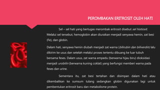 Sel – sel hati yang bertugas merombak eritrosit disebut sel histiosit.
Melalui sel tersebut, hemoglobin akan diuraikan menjadi senyawa hemin, zat besi
(Fe), dan globin.
Dalam hati, senyawa hemin diubah menjadi zat warna (bilirubin dan biliverdin) lalu
dikirim ke usus dan setelah melalui proses tertentu dibuang ke luar tubuh
bersama feses. Dalam usus, zat warna empedu (berwarna hijau biru) dioksidasi
menjadi urobilin (berwarna kuning coklat) yang berfungsi memberi warna pada
feses dan urine.
Sementara itu, zat besi tertahan dan disimpan dalam hati atau
dikembalikan ke sumsum tulang sedangkan globin digunakan lagi untuk
pembentukan eritrosit baru dan metabolisme protein.
PEROMBAKAN ERITROSIT OLEH HATI
 