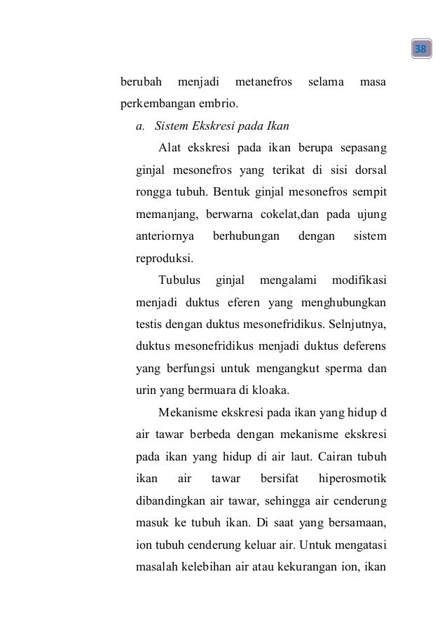 Perbedaan Ruang Jantung Pada Pisces Amphibia Reptilia Aves Perbedaan Ruang Jantung Pada Pisces Amphibia Reptilia Aves