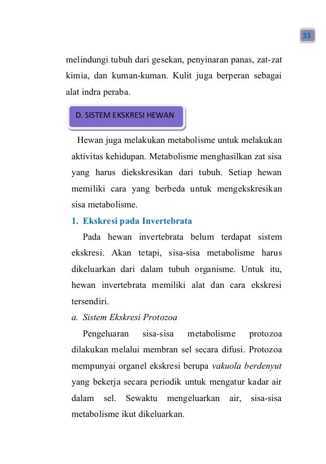 Buku Sistem Ekskresi Nihayatu Thoyyibah