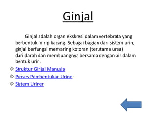 Ginjal
Ginjal adalah organ ekskresi dalam vertebrata yang
berbentuk mirip kacang. Sebagai bagian dari sistem urin,
ginjal berfungsi menyaring kotoran (terutama urea)
dari darah dan membuangnya bersama dengan air dalam
bentuk urin.
 Struktur Ginjal Manusia
 Proses Pembentukan Urine
 Sistem Uriner
 